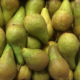fresh fruit speyfruit online ordering conference pears