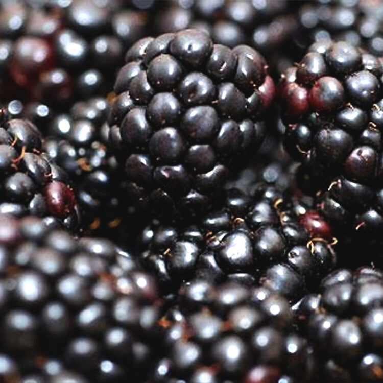 fresh vegetables speyfruit online ordering blackberries