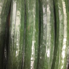 fresh vegetables speyfruit online ordering cucumber