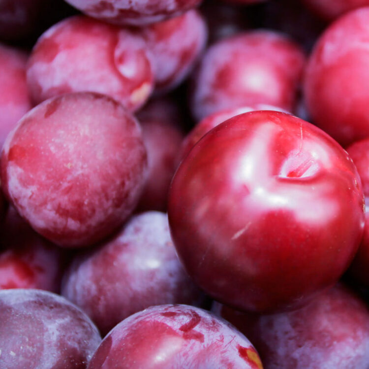 fresh fruit speyfruit online plums