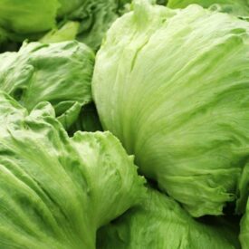 fresh vegetables speyfruit online ordering iceberg lettuce