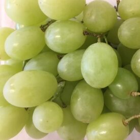 fresh fruit speyfruit online ordering White grapes,