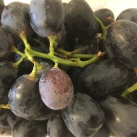 fresh fruit speyfruit online ordering Black grapes,