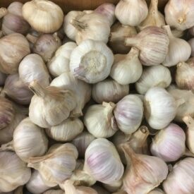 speyfruit online fruit and veg moray garlic