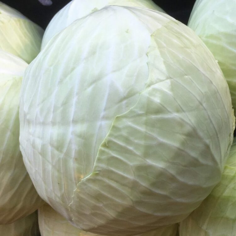 fresh vegetables speyfruit online white cabbage