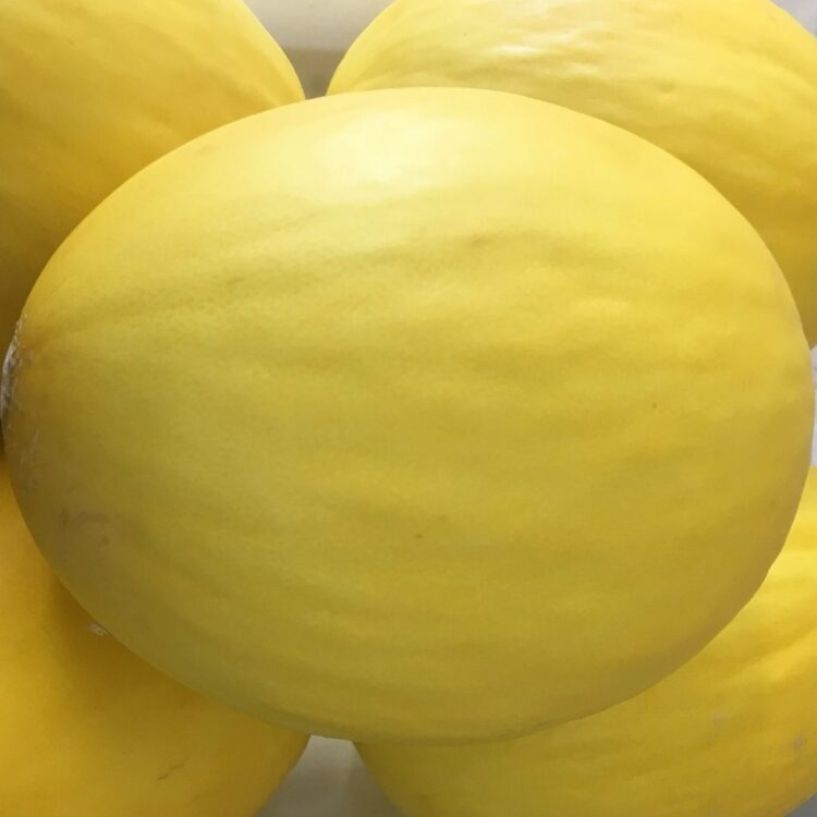 fresh fruit speyfruit online ordering Honeydew melon, yello