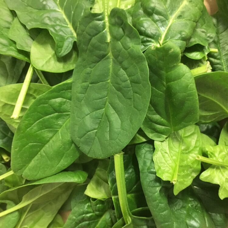 fresh vegetables speyfruit online ordering spinach