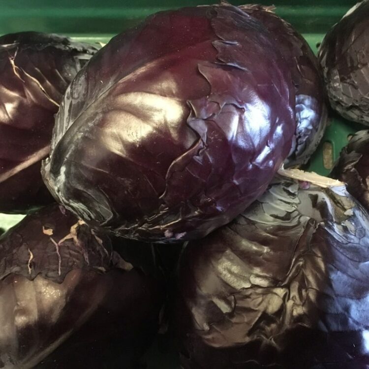fresh vegetables speyfruit online ordering red cabbage