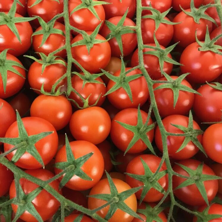 fresh vegetables speyfruit online ordering cherry vine tomatoes
