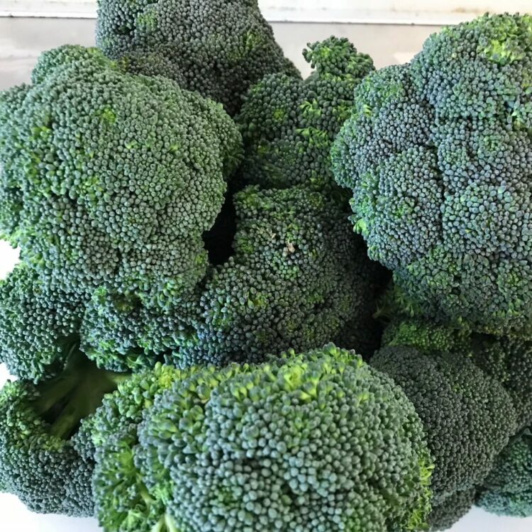 fresh vegetables speyfruit online ordering broccoli