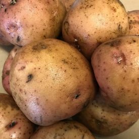 speyfruit online fruit and veg moray