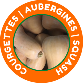 Courgettes - Aubergines - Squash
