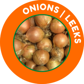 Onions - Leeks
