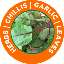 Herbs-Chillis-Garlic-Leaves