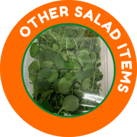 Other Salad Items