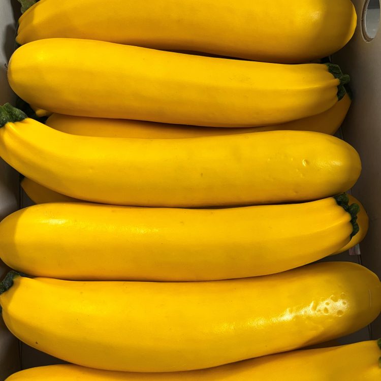 Yellow Courgettes