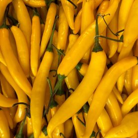 Yellow Chillies